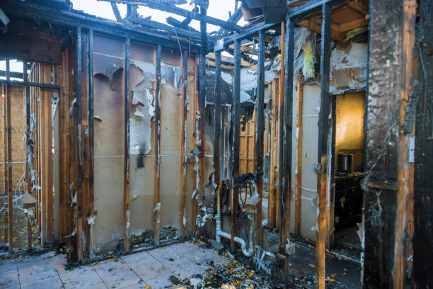 Professional Smoke Odor Removal technician working in Monticello, MN